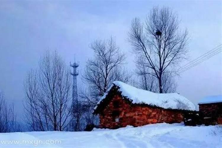 梦见下大雪是什么意思？梦到暴雨什么预兆