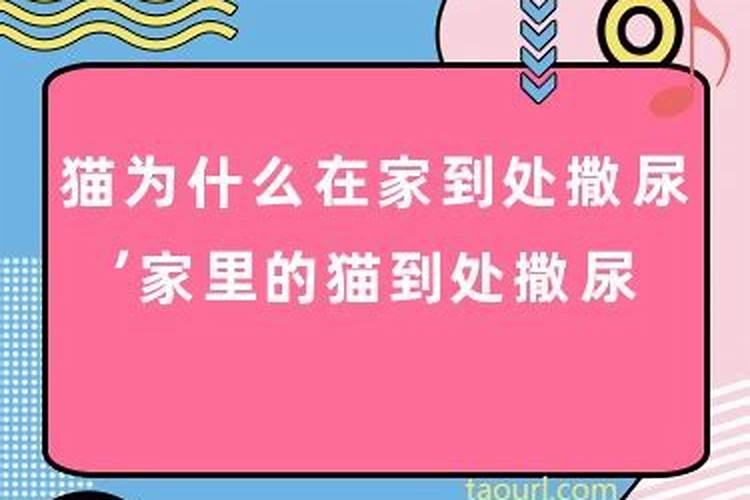 命里犯小人怎么化解吉凶