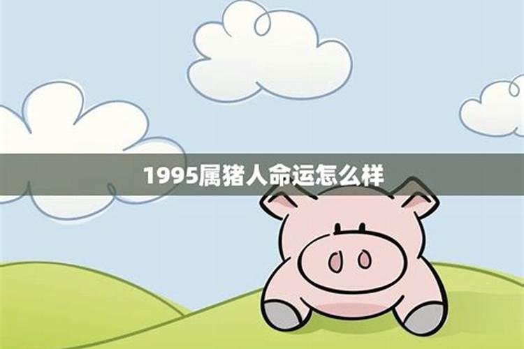 1965肖蛇2023年运势