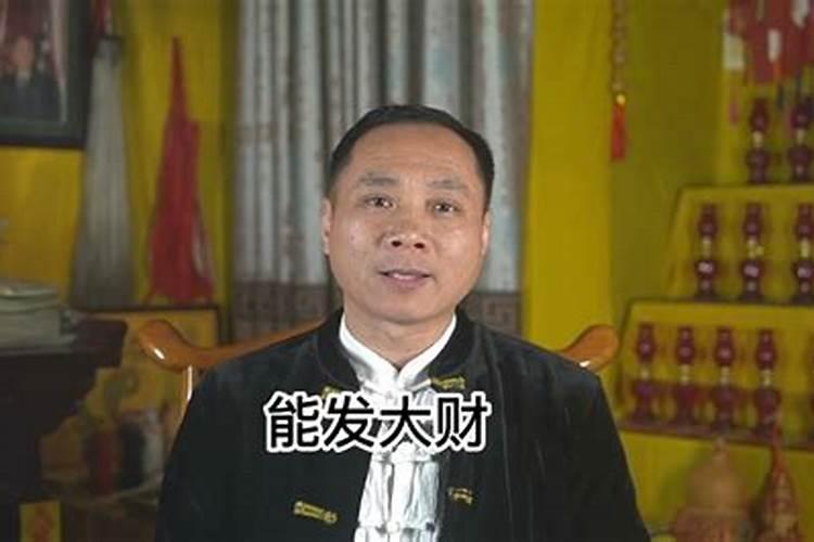 做梦梦见乌龟是胎梦吗