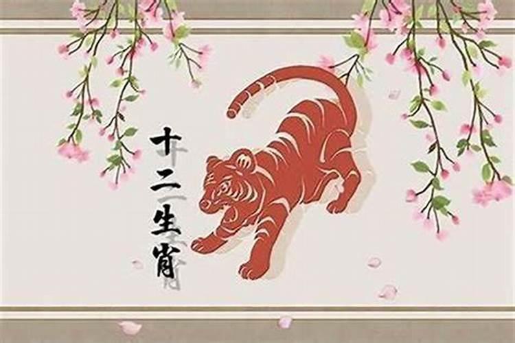 属蛇的猪年犯太岁如何破解