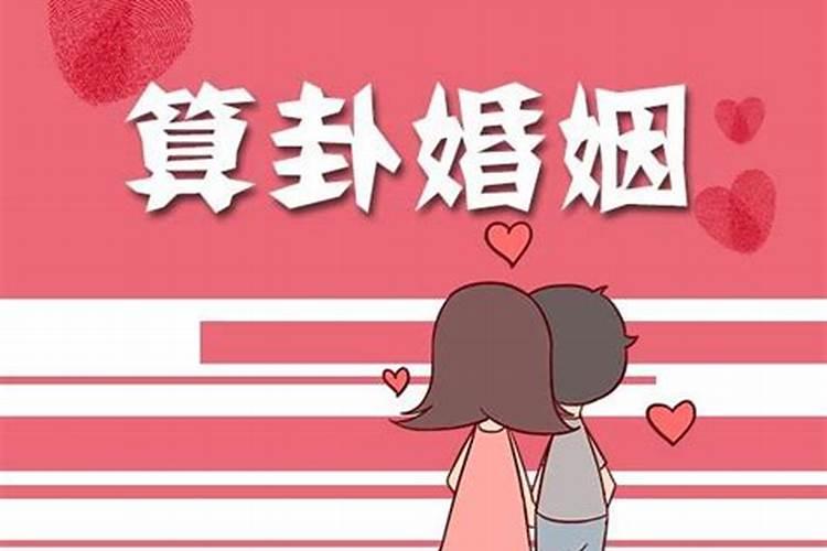 生肖守护神讲的是什么