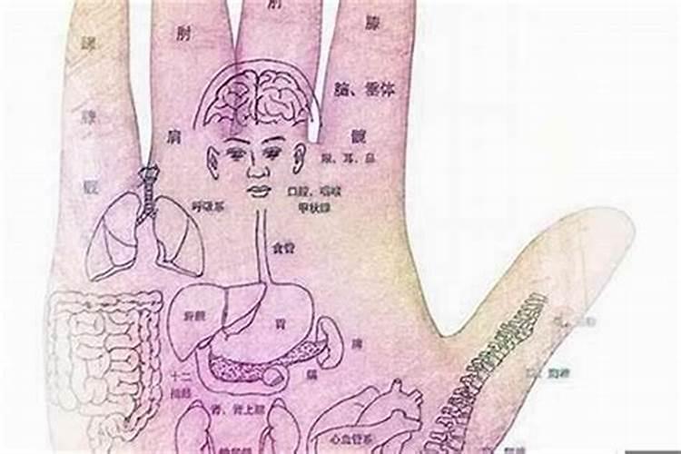 怀孕梦到一条大白蛇被扒皮撕碎