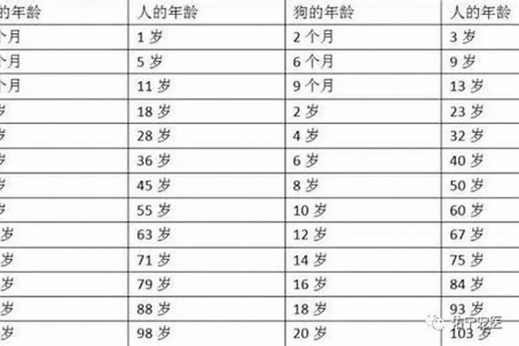 属狗的年份表对年龄