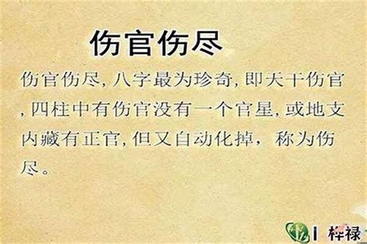 伤官男命是什么意思