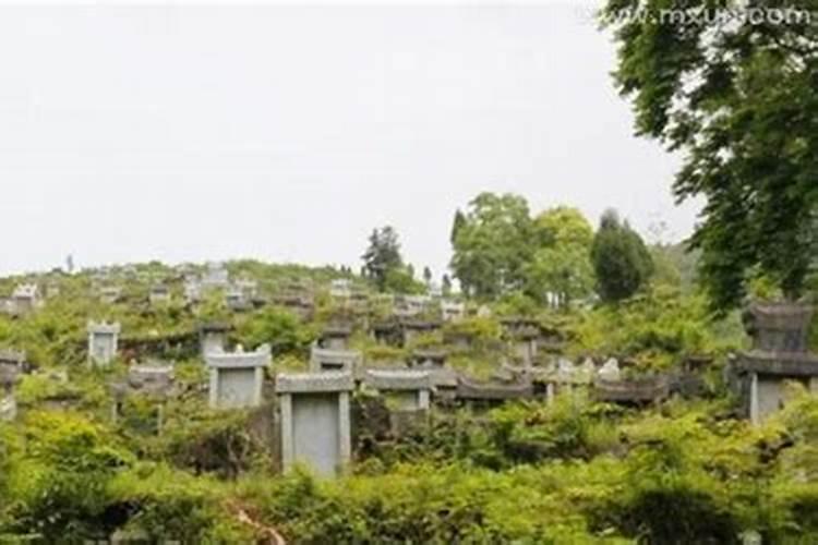 梦见家里有人生病住院