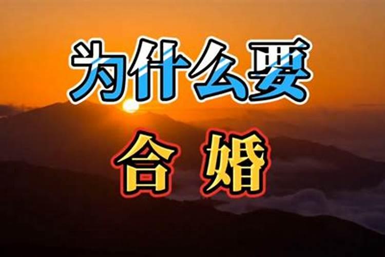 太岁哪里可以买