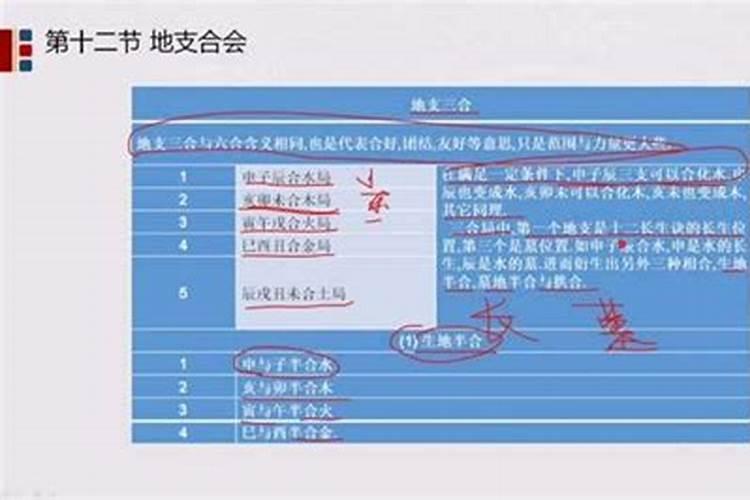 梦见老鼠跑进家里,没抓到被它跑了