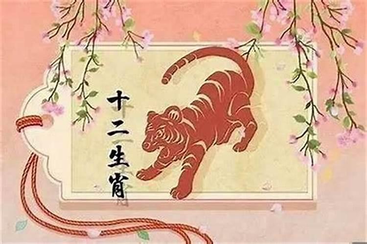 白马猜一生肖是什么