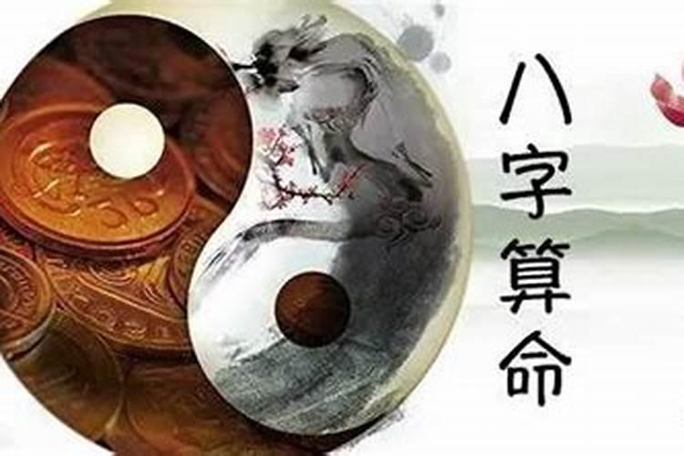 81年属鸡的今年适合创业吗