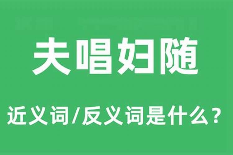 夫唱妇随应五六是什么生肖最佳答案