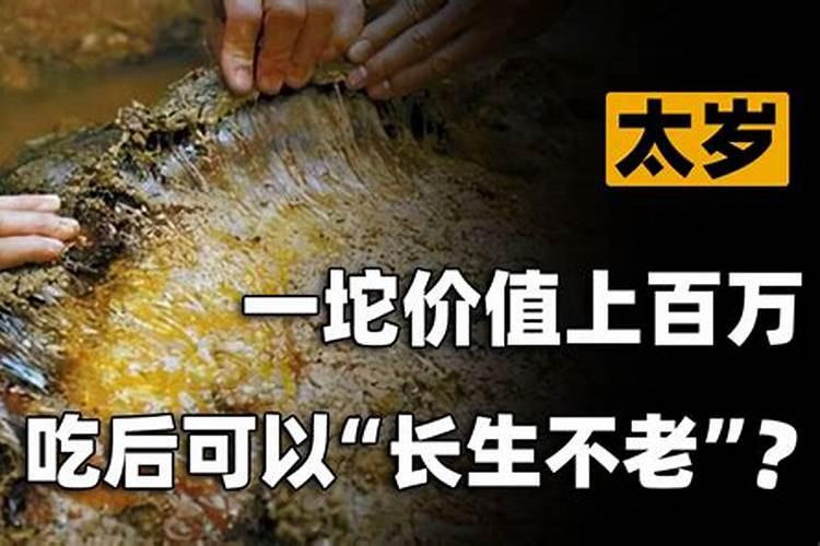 属相不合的说法可信吗