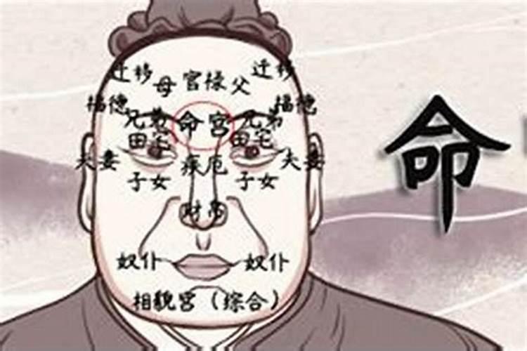 八字中看有几个子女