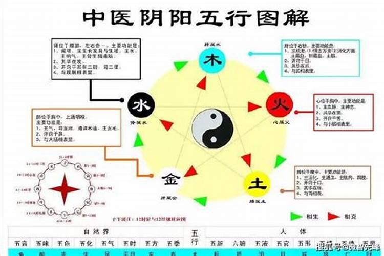 属鸡人犯太岁的年份