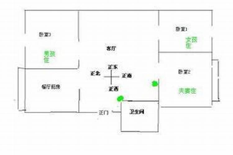 树字五行属什么属性