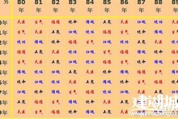 属猫和属牛的八字合不