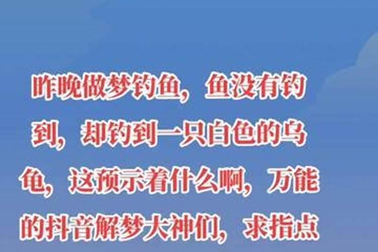 梦见别人钓到只乌龟什么意思