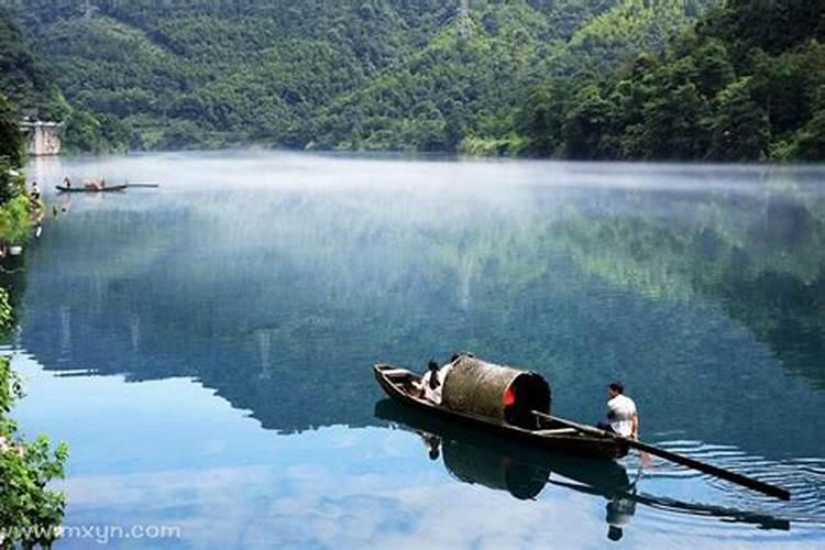 老鼠犯太岁吗