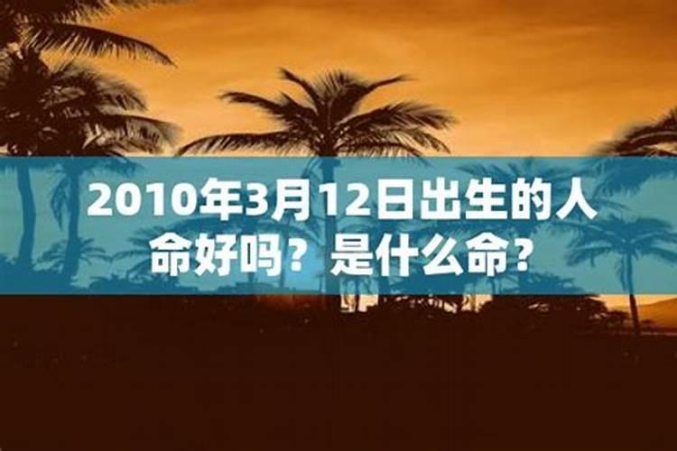 2007年3月12日属什么