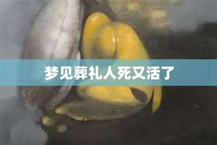 属猴年份