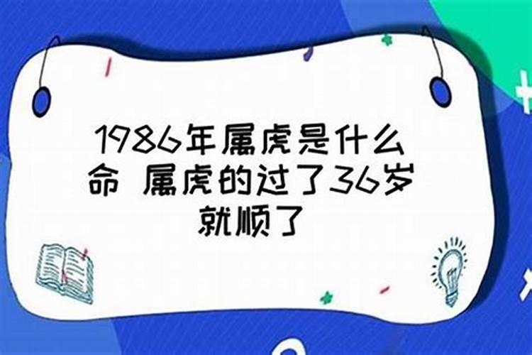 生辰八字丁卯是什么意思啊