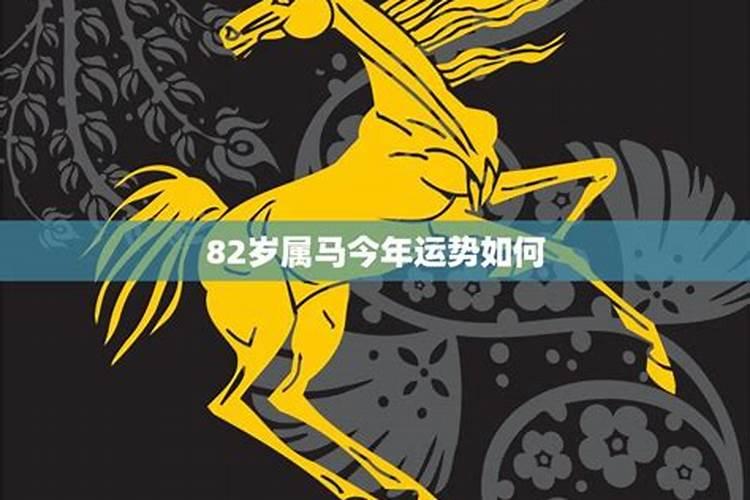 2023年属马是犯太岁吗为什么