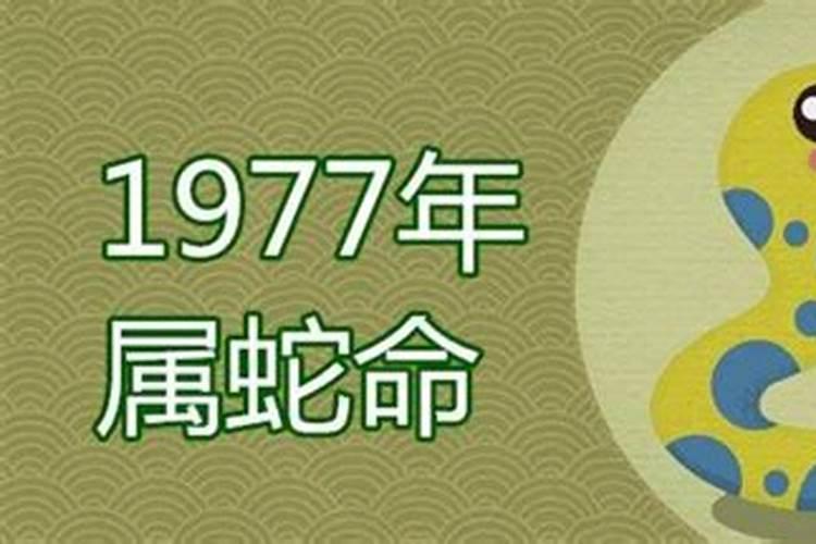 1977年生的属什么的