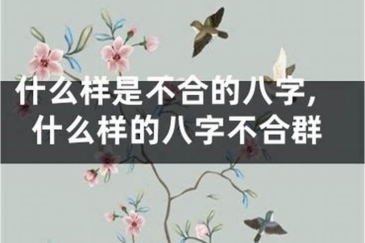 什么样的八字叫不合