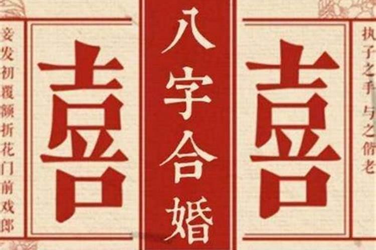 11月属兔人的运势