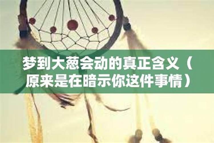 梦会暗示你什么吗