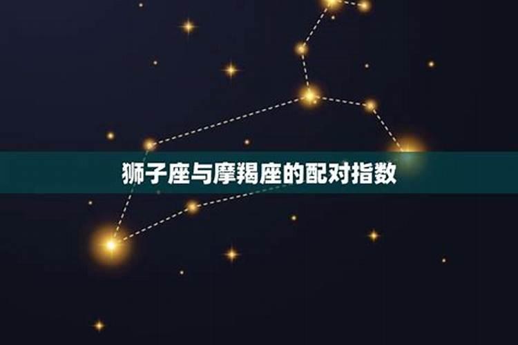 狮子座与摩羯座的爱情