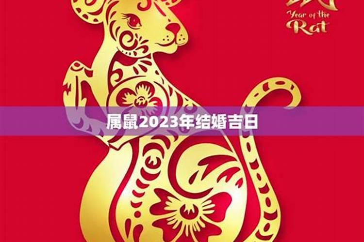 2022年属鼠适合结婚吗