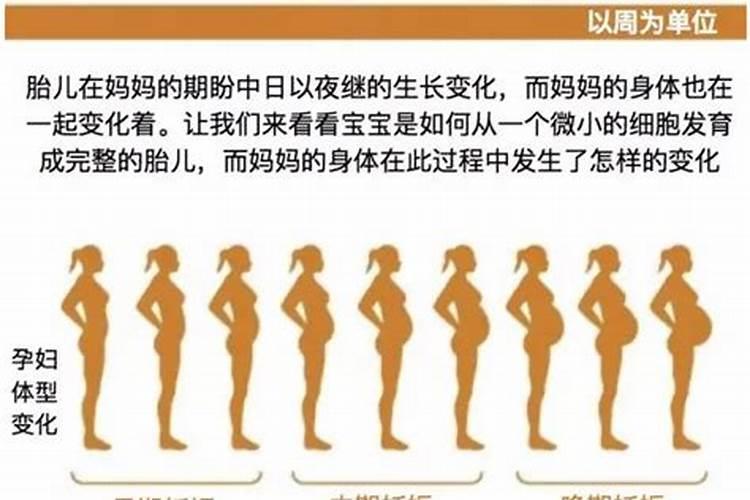 男马女龙属相婚配吗好吗