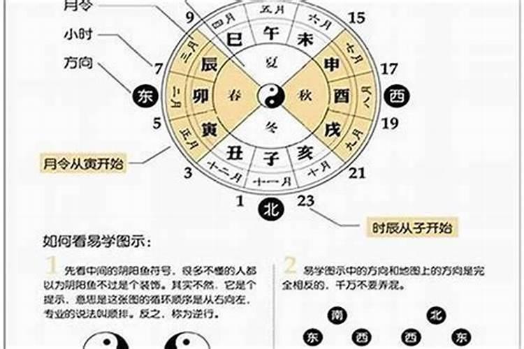 风水学中家里不能养什么花