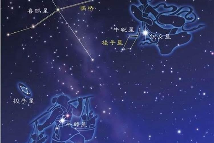 织女星属于哪个星座