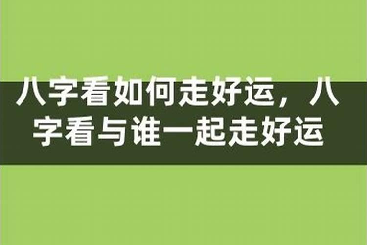 鸡的婚姻配什么最好