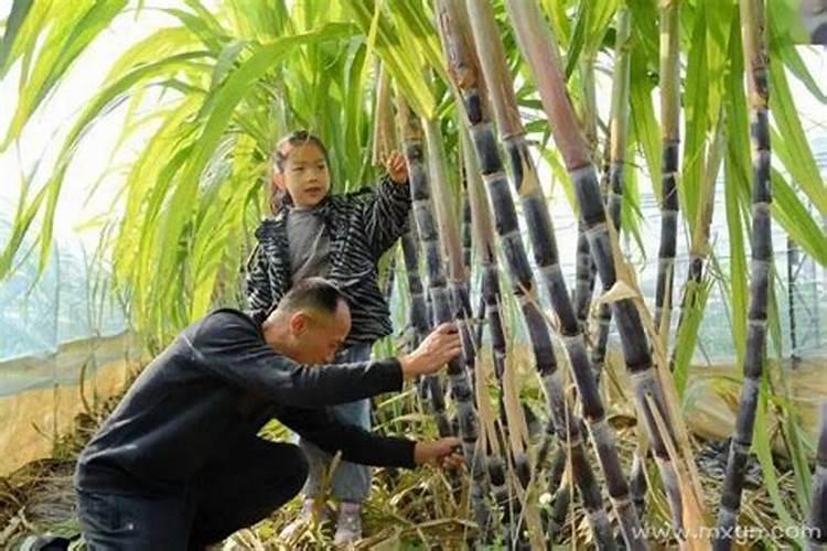 梦到下大雨房子漏水到床上