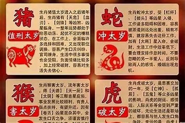 犯太岁是看年支吗还是日支