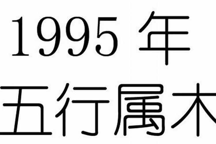 1995属什么