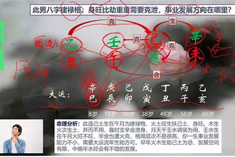 属鼠的和属狗的合适吗