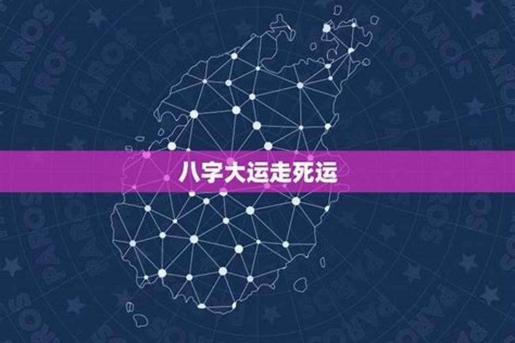 属狗12月运势2021