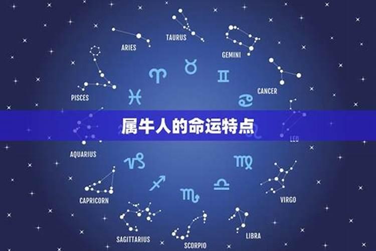 所有属牛的人都有什么特点?