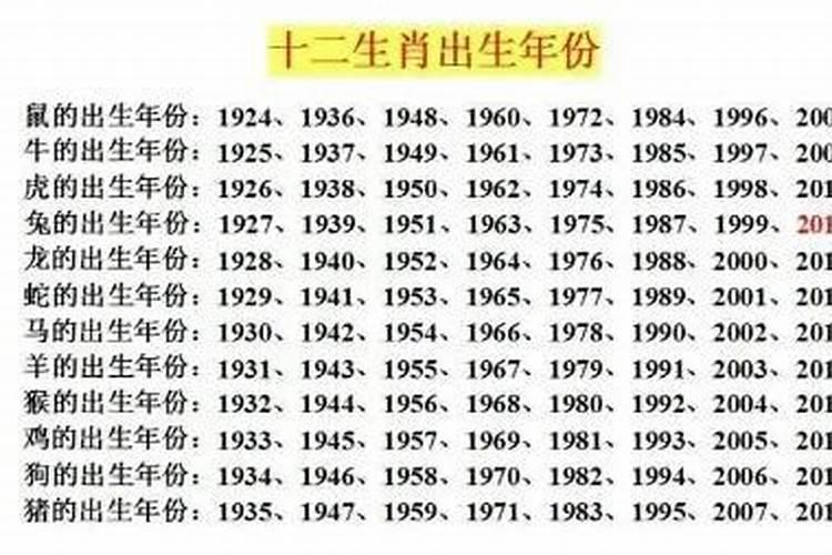 猪的属相2023年运势详解