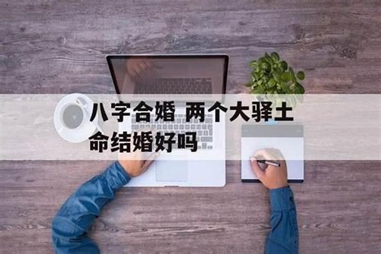 梦见猫是什么预兆周公解梦来我家了