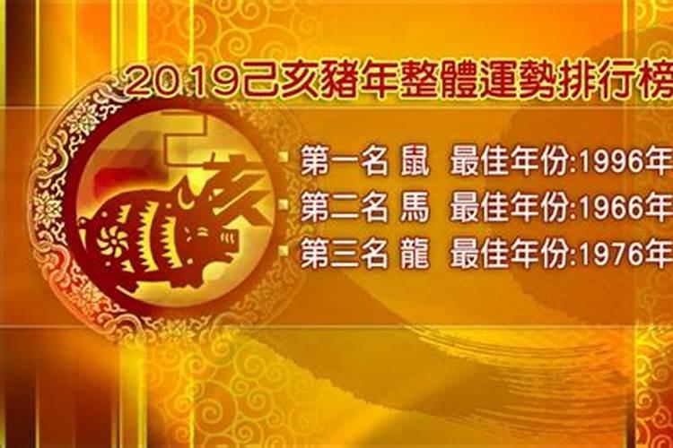 欲钱买今年属什么生肖