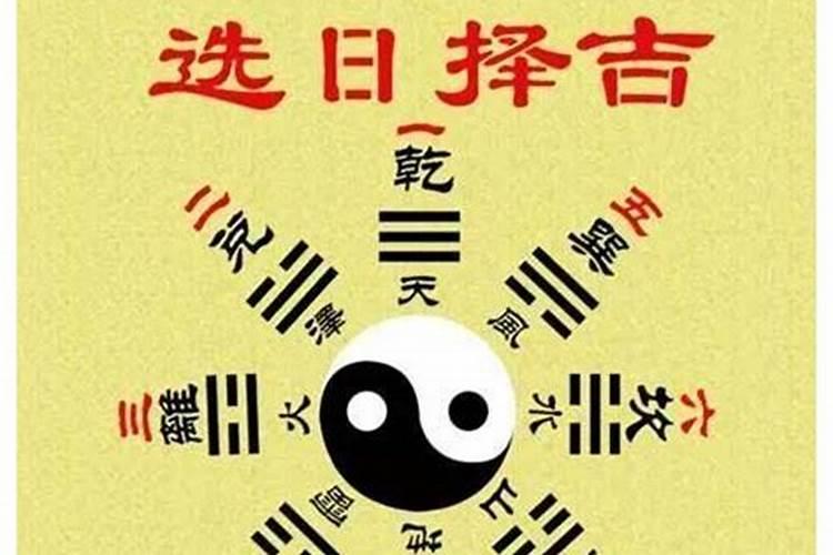 梦见别人送我小枣树