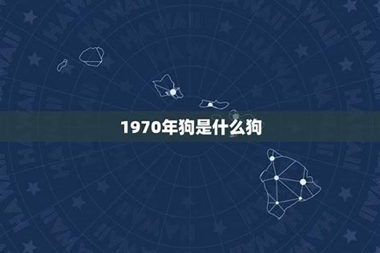 1970年什么颜色的狗