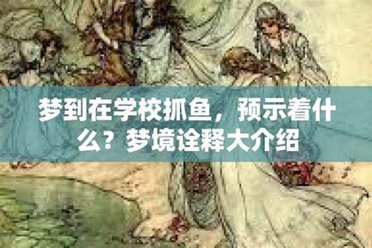 梦到自己捉鱼预示着什么