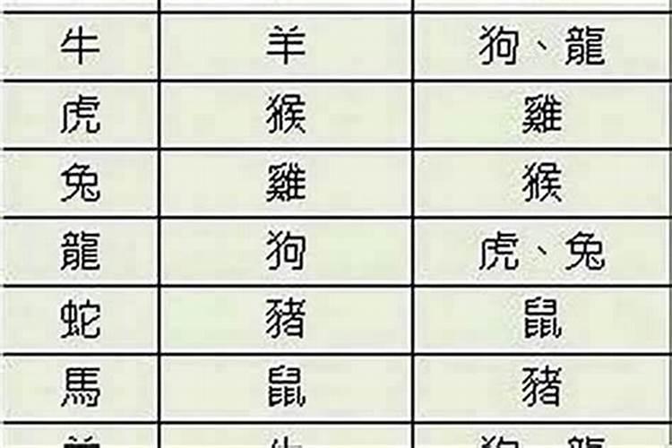 生肖配对可信吗