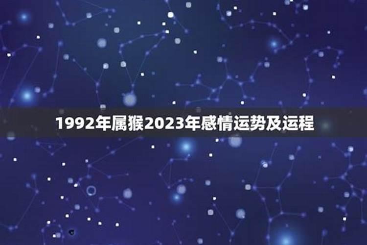 92属猴2023年感情运势如何